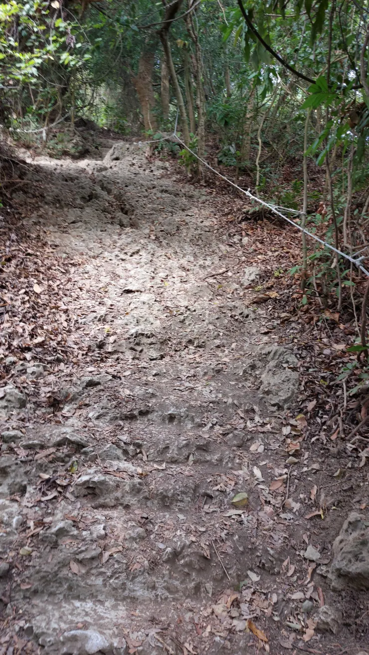 菜剉路如洗衣板而得名