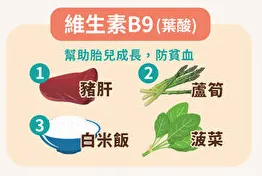 葉酸（B9）：紅血球的魔法製造者(從這些食物可以攝取到!!!)