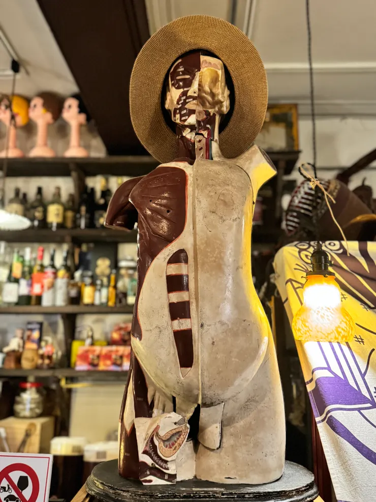 人體器官課的助教(?)