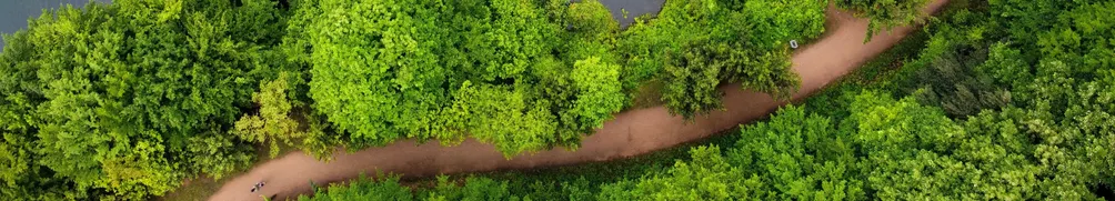 總有刁民想害朕的沙龍