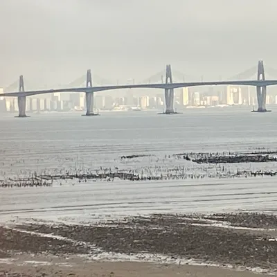 小妞的媽的沙龍