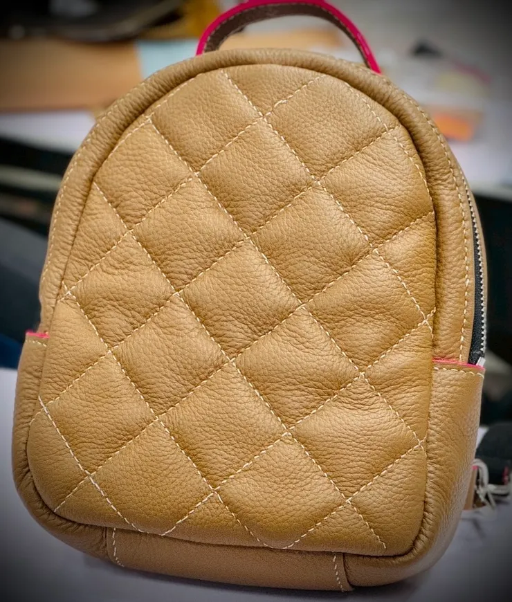 一個背包(給媽媽的:好在媽不嫌棄，如此跳痛的粉色)