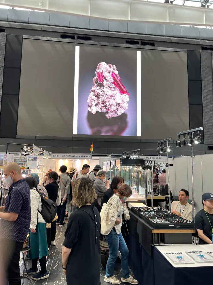 一百多家國內外廠商也會在這個時候聚集到新宿