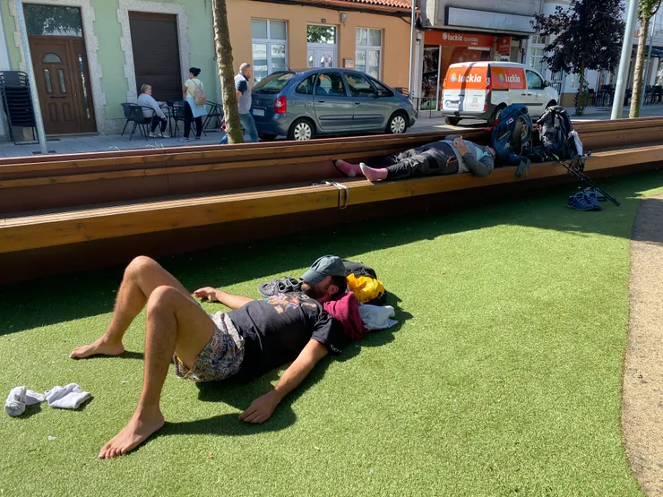 跟著午睡大師一起小睡的我