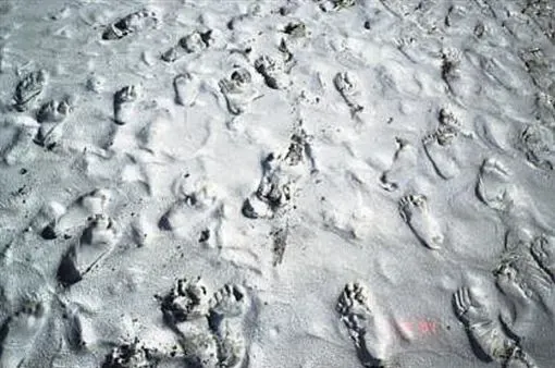 隨香信徒浮在濁水溪上的腳印(取材自白沙屯媽祖婆官網)