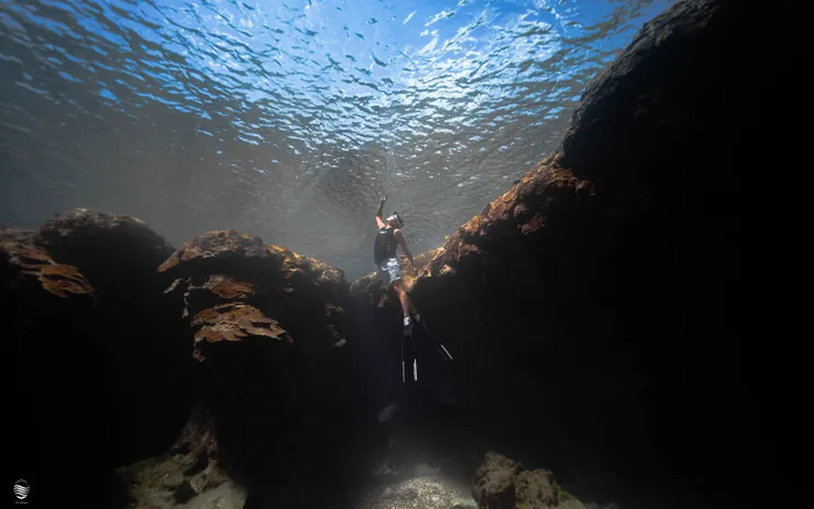 𝓣𝓱𝓮 𝓢𝓮𝓪𝓱𝓸𝓾𝓼𝓮 𝓽𝔀 * 水下攝影 🇹🇼