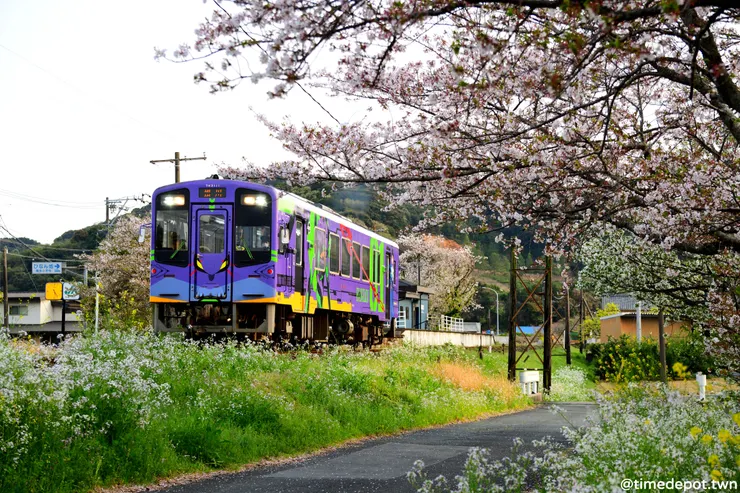 花團錦簇的春天，五顏六色的彩繪車，共構天濱線的春季鐵道景色(攝於尾奈車站)