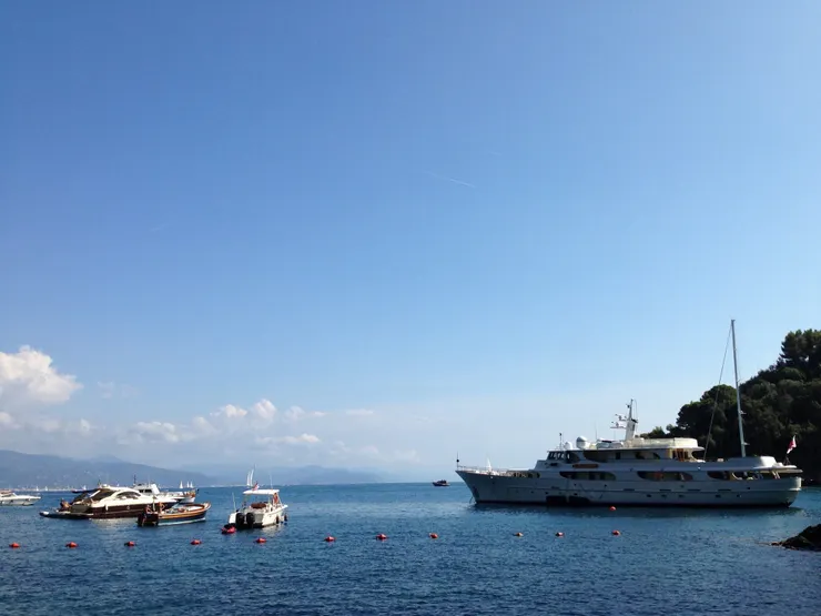 這麼多的船隻停泊，都是為了菲諾港的景色而來