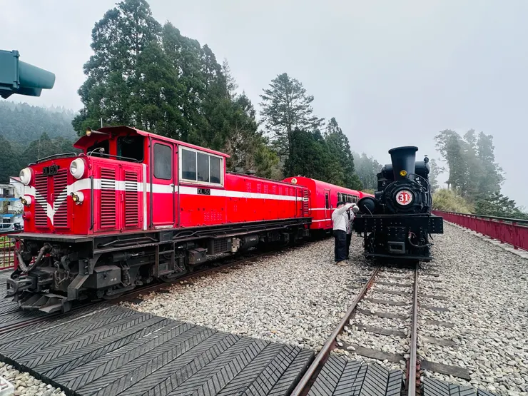 阿里山號與31號火車