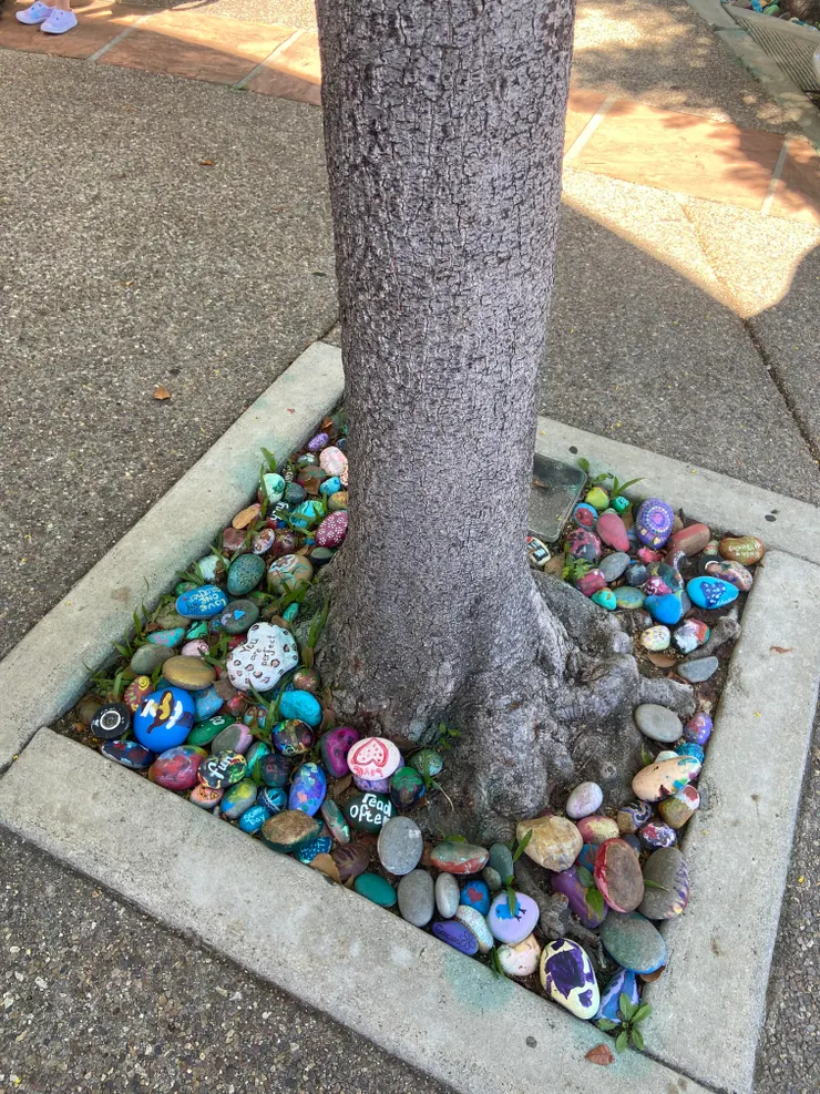 鋪在樹下的石頭們