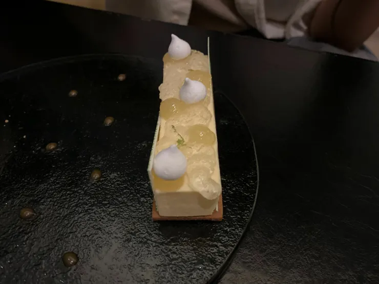 IMG_4508 2_result.jpg