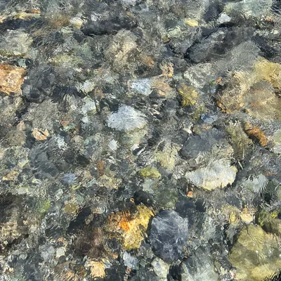 嶼自然生活
