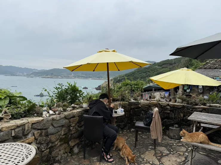 咖啡館戶外的一隅，是最佳座位