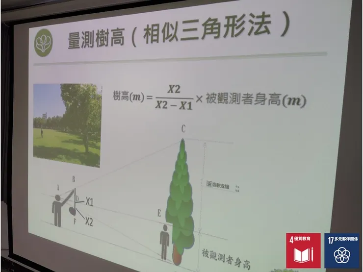 樹調中估量樹高的方法
