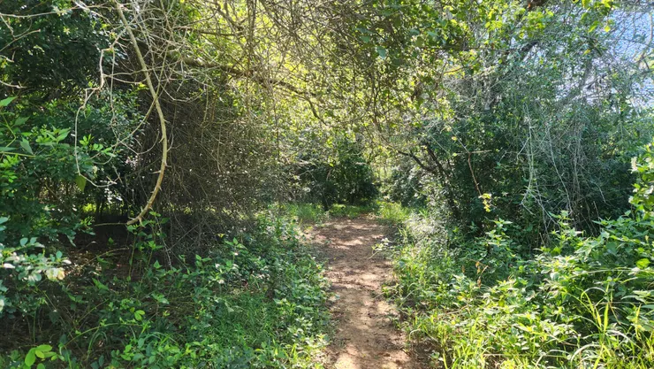 這條路目前還是死路,但是騎到盡頭會到五權西路旁的工廠。