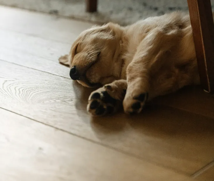 佈置一個能安心休息的房間絕對值得，好心情和好好休息都是超級重要的事情