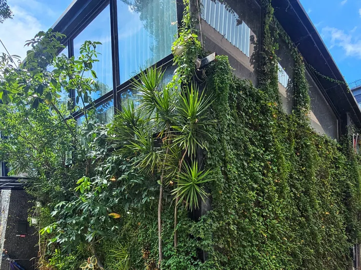 每次還沒進門,看到這片老闆親手種植的綠意,就知道回家的路到了。這裡看著許多宜蘭女兒從一個人,變成牽著孩子的一家人。