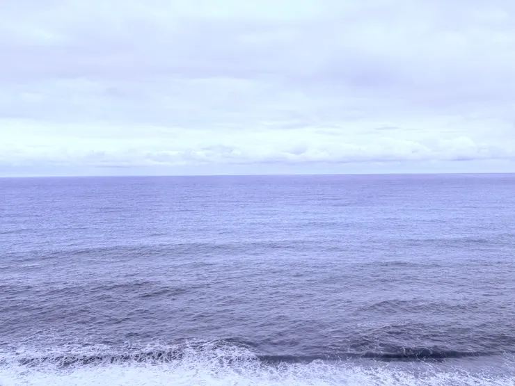 在火車上拍攝的海景(有套夢幻濾鏡)