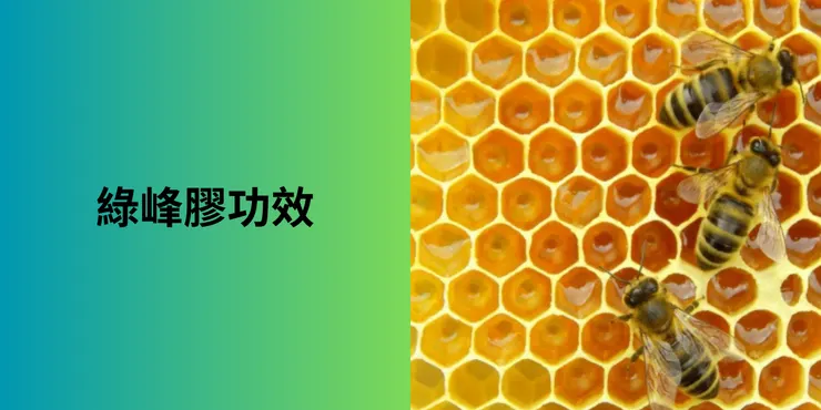 圖片出自:蜜蜂築蜂巢