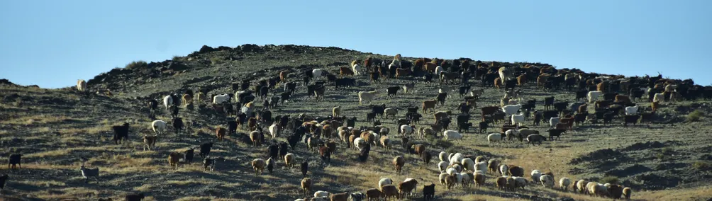 廖珮岑 Pei-Tsen Liao的沙龍