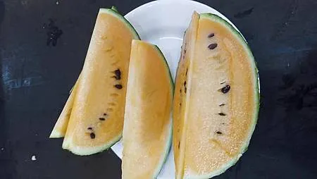 [花蓮美食]有KTV設備、包廂服務，盡情暢飲啤酒中無菜單料理