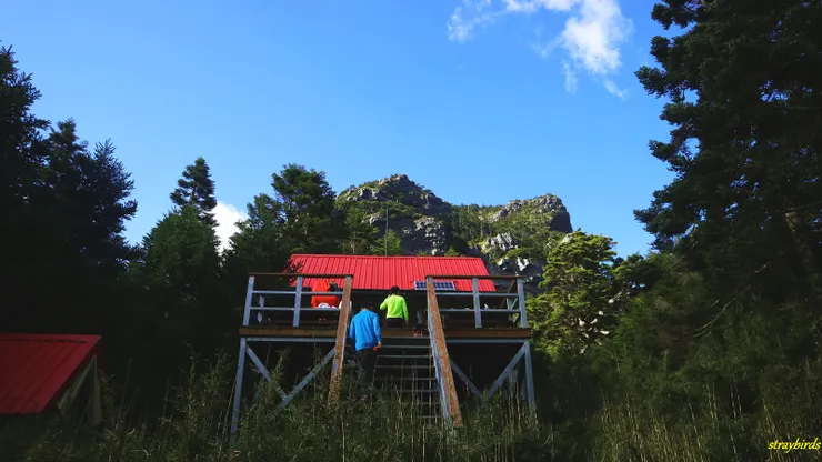 15:30抵達霸南山屋，挑高的造型很獨特，但也讓山友們晚上上廁所時非常不便。