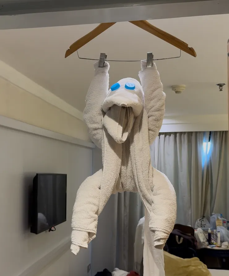 第二天是掛在衣架上的小猴子！