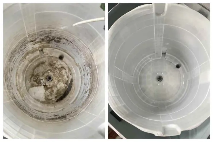 彰化清洗洗衣機｜洗衣筒清洗案例分享