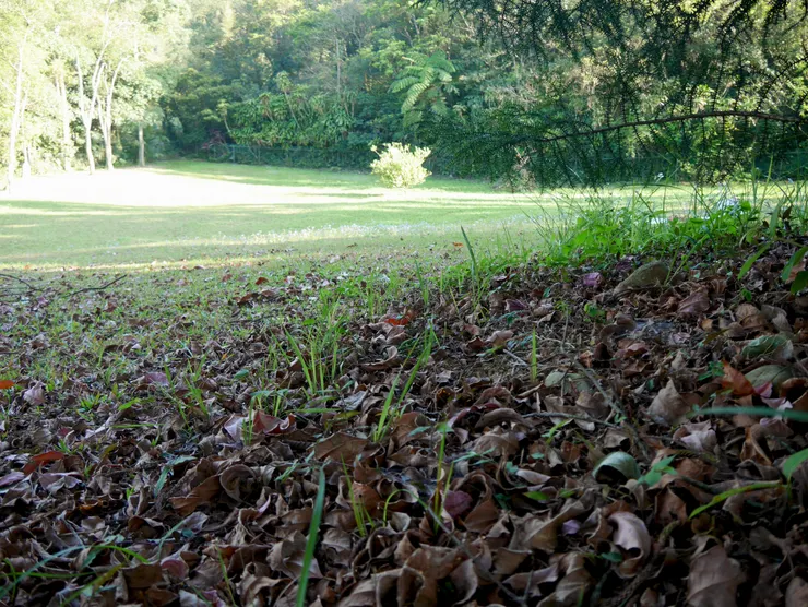 可以很瀟灑的告別與啟程就是大自然