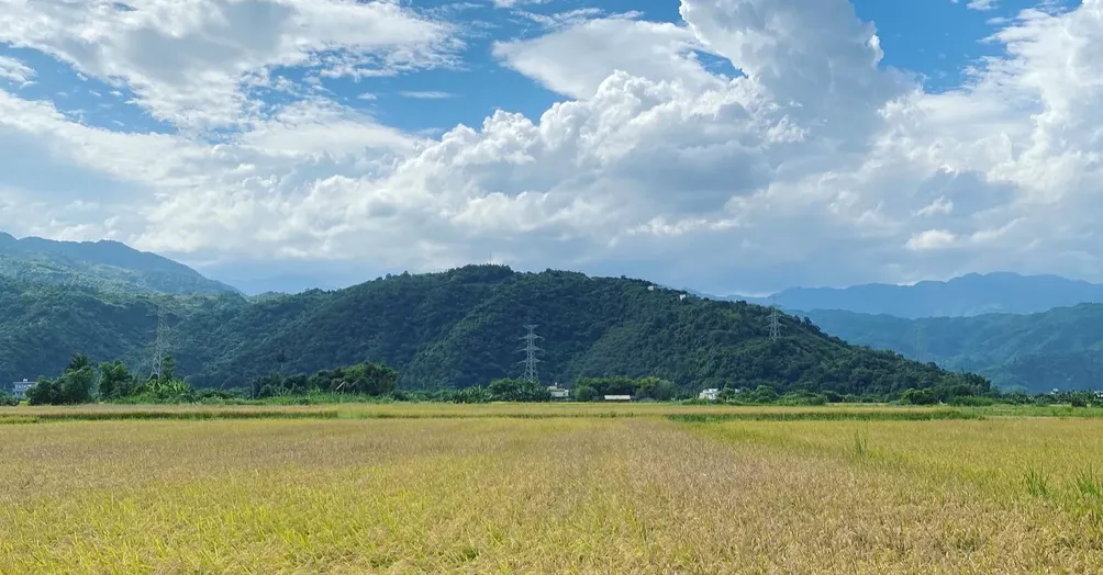 書寫吧！Writing Bar