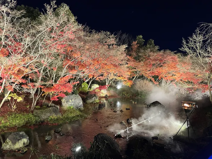 第一個展區勢水跟楓葉還有燈光的組合