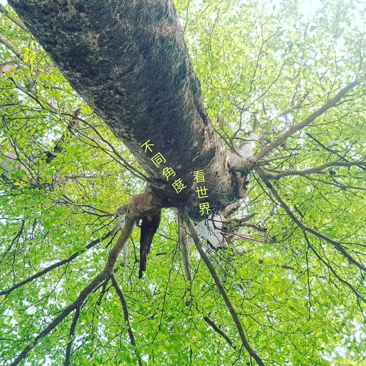 圖片來源：來自安奇珮奇的隨手拍