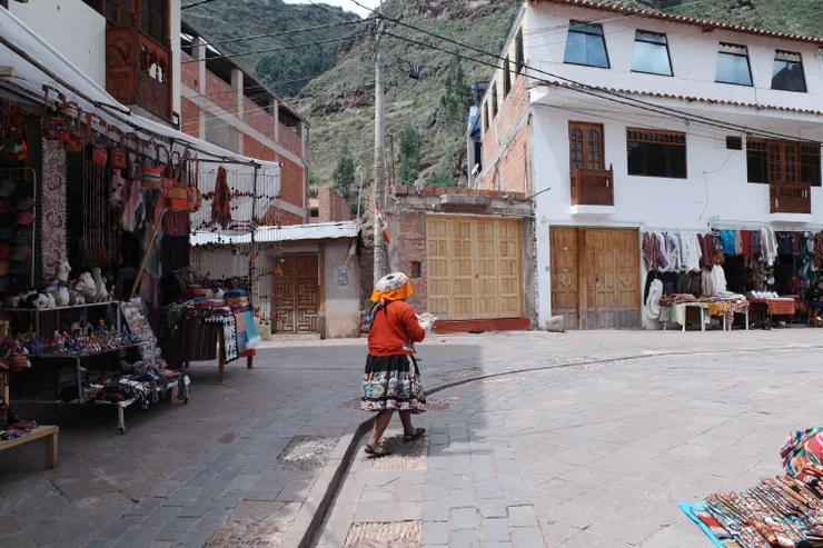 抱著一隻超可愛小羊駝