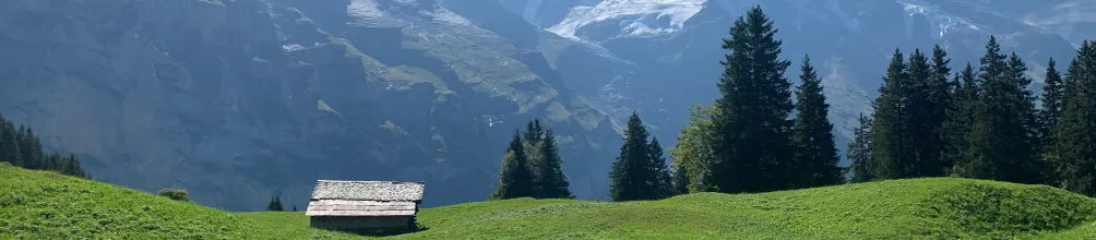 旅越行者: 聖誕夜說書人