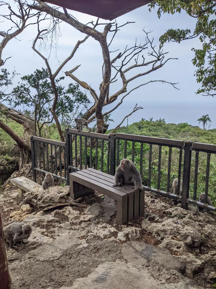 放在這的都是我的！