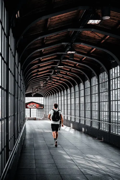 圖片來源:https://www.pexels.com/zh-tw/photo/23230438/