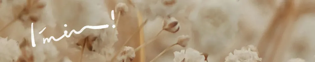 內醬的圖文宇宙🌌