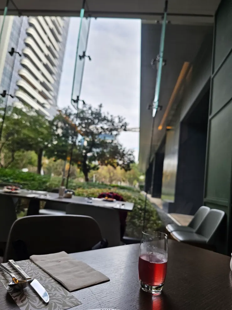 窗外舒服的綠蔭