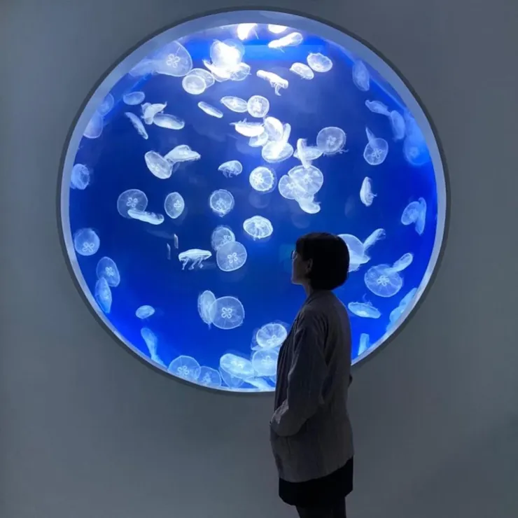 ᴀɴɴᴀ🔍蔬食生活日誌