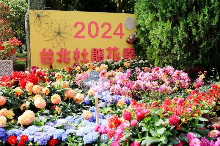 來源：大安森林公園之友基金會