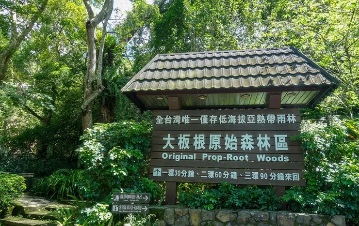 新北三峽.三峽景點.大板根原始森林區