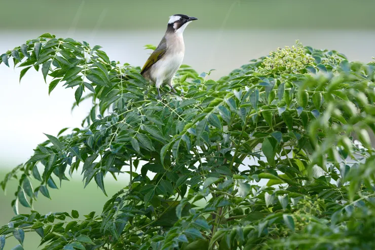F5.6 1/125 ISO250 相機:X-H2