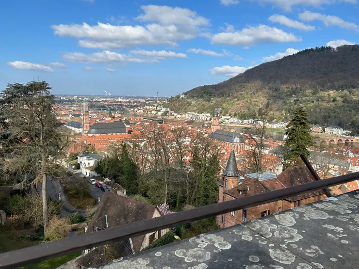 俯瞰海德堡古城區