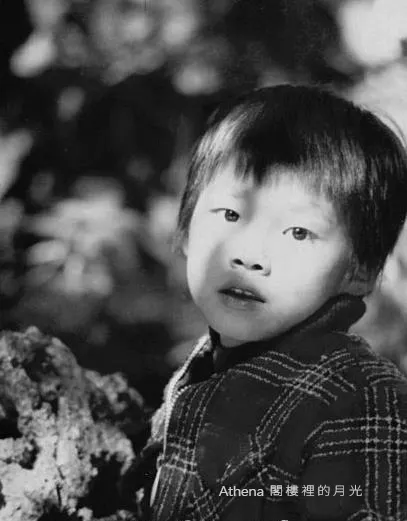 當時大約這麼大｜父親拍攝。