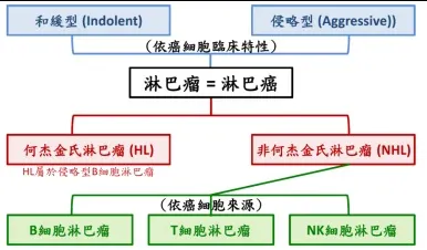 淋巴瘤極簡易分類