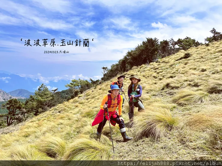 【丹大林道.六順山.七彩湖】六順山.海拔3009公尺/波波草