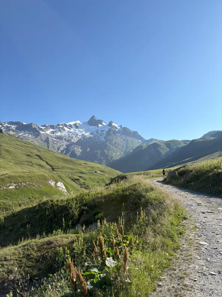 平緩好走的泥土碎石步道
