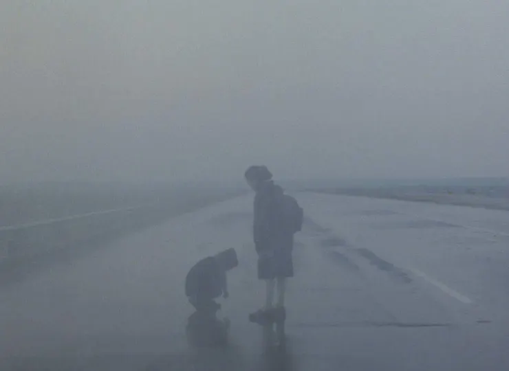 Landscape in the Mist, 1988