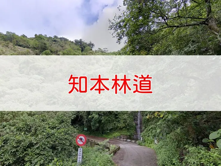 【台東】知本林道 | 全長里程：單程6.5公里 | 難易度：低，適合初學者及家庭健行
