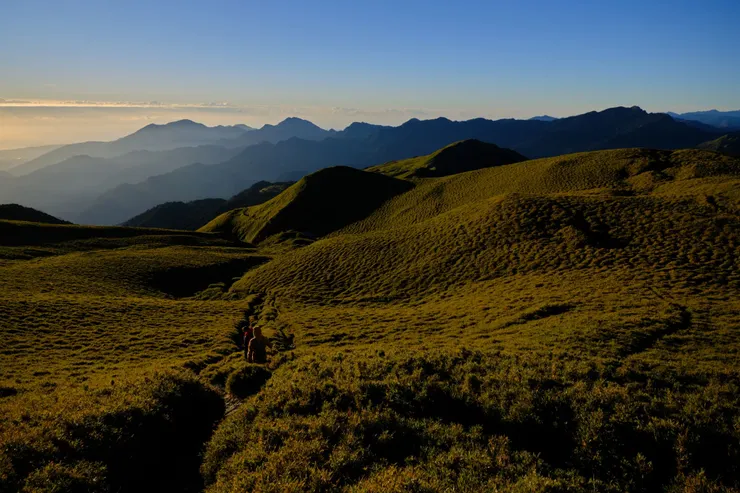 傳說中的黃金大草原